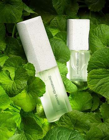 ICD Dermatology First Package Dermatology Booster EX 130ml +Dermatology Serum EX 45ml