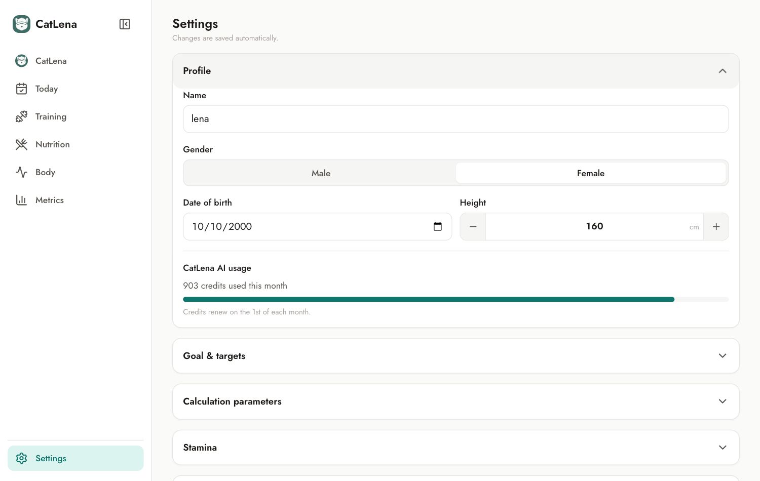 Profile section of Settings with the AI usage